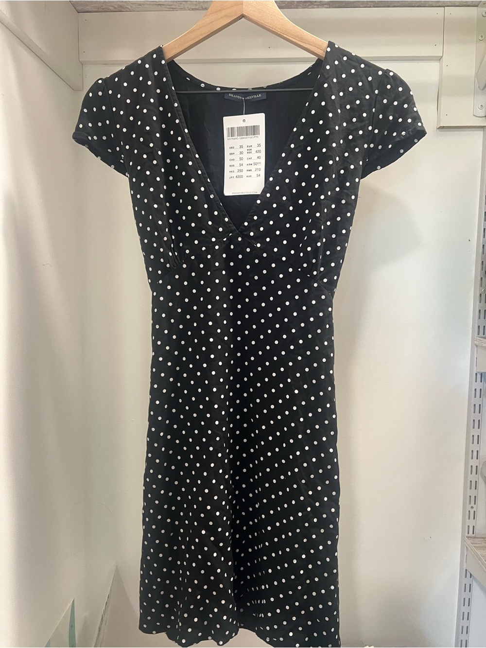 Brandy Melville Black Polka Dot V-Neck Dress